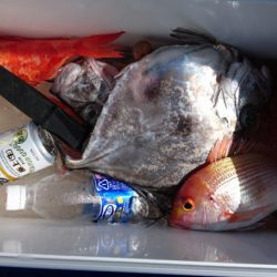 海皇丸 釣果