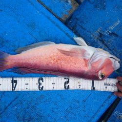 海龍丸(石川) 釣果