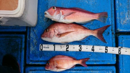 海龍丸(石川) 釣果