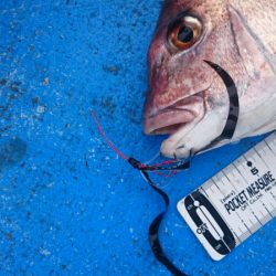 海龍丸(石川) 釣果