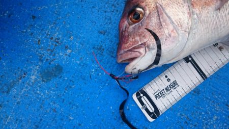 海龍丸(石川) 釣果