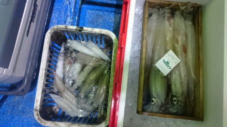 海龍丸（石川） 釣果