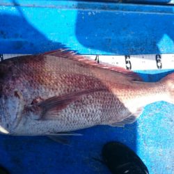 海龍丸（石川） 釣果