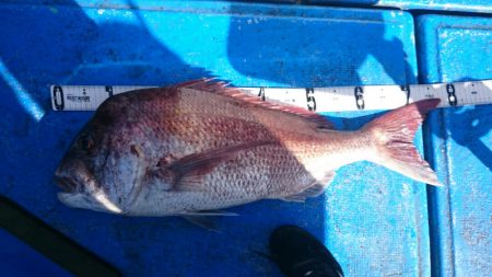 海龍丸（石川） 釣果