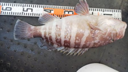 第二龍勢丸 釣果