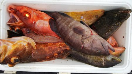 第二龍勢丸 釣果