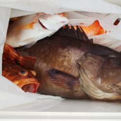 第二龍勢丸 釣果