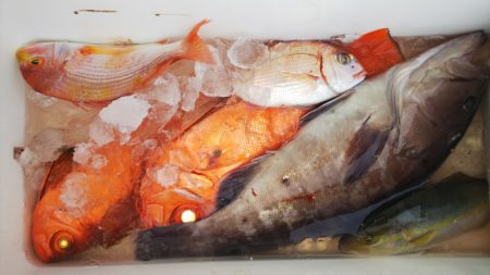 第二龍勢丸 釣果