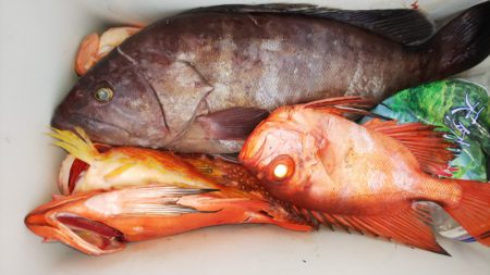 第二龍勢丸 釣果