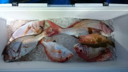 海龍丸（石川） 釣果