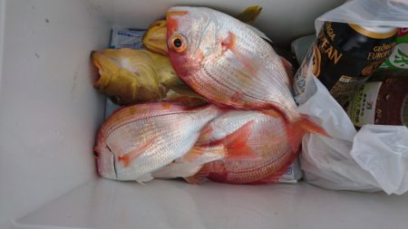 海皇丸 釣果