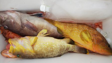 第二龍勢丸 釣果