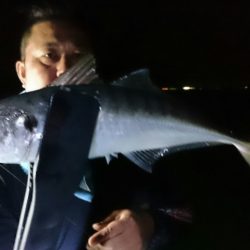 シースナイパー海龍 釣果