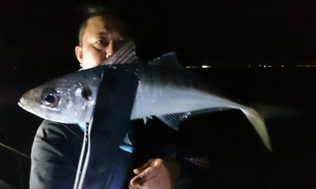 シースナイパー海龍 釣果
