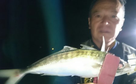 シースナイパー海龍 釣果