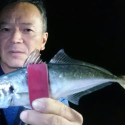 シースナイパー海龍 釣果
