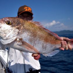 渡船屋たにぐち 釣果