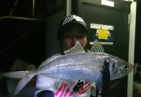 シースナイパー海龍 釣果