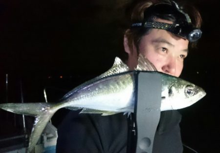 シースナイパー海龍 釣果