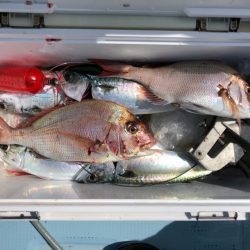 第二八坂丸 釣果