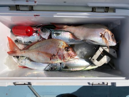 第二八坂丸 釣果