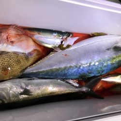 龍神丸(鹿児島) 釣果