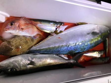 龍神丸(鹿児島) 釣果