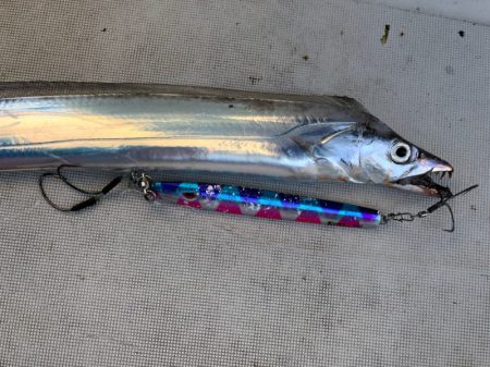 末広丸(熊本) 釣果