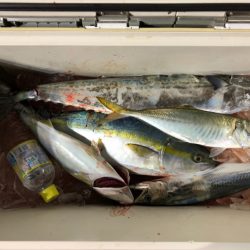 第二八坂丸 釣果