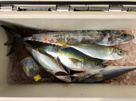 第二八坂丸 釣果