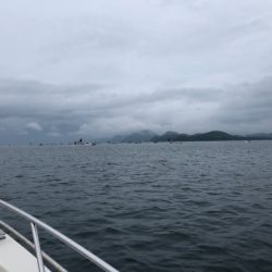 末広丸(熊本) 釣果
