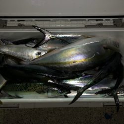 第二八坂丸 釣果