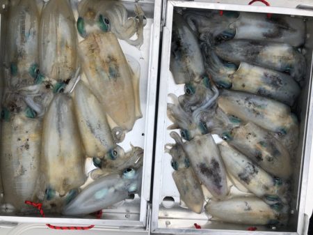 あみや渡船 JIGBOY 釣果