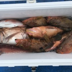 海龍丸（石川） 釣果