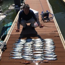 うさぎ丸 釣果