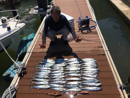 うさぎ丸 釣果
