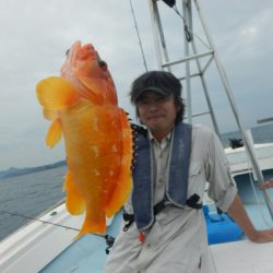 きずなまりん 釣果