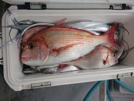 ありもと丸 釣果