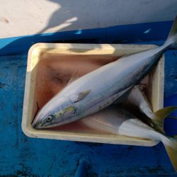 さち丸 釣果