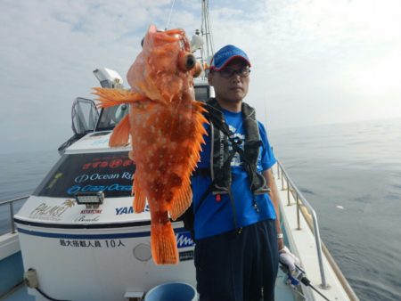 きずなまりん 釣果