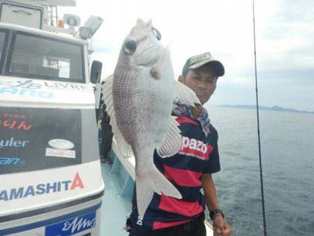 きずなまりん 釣果