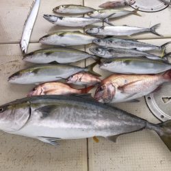 大雄丸 釣果