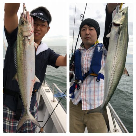 ビッグファイター 釣果