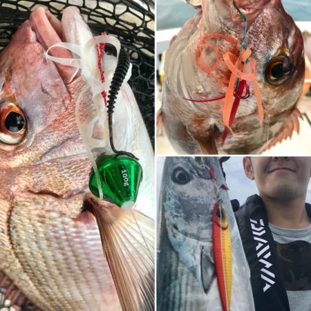 龍神丸(鹿児島) 釣果