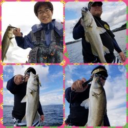 アマテラス 釣果