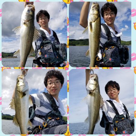 アマテラス 釣果