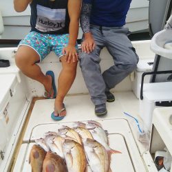 マリンガイド福丸 釣果