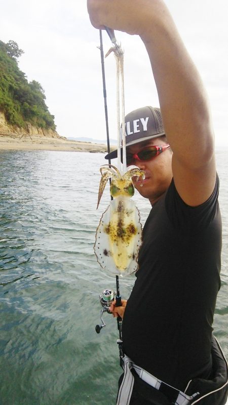 マリンガイド福丸 釣果