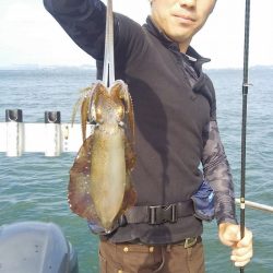 マリンガイド福丸 釣果