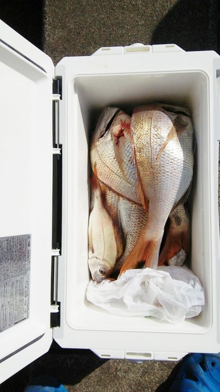 マリンガイド福丸 釣果